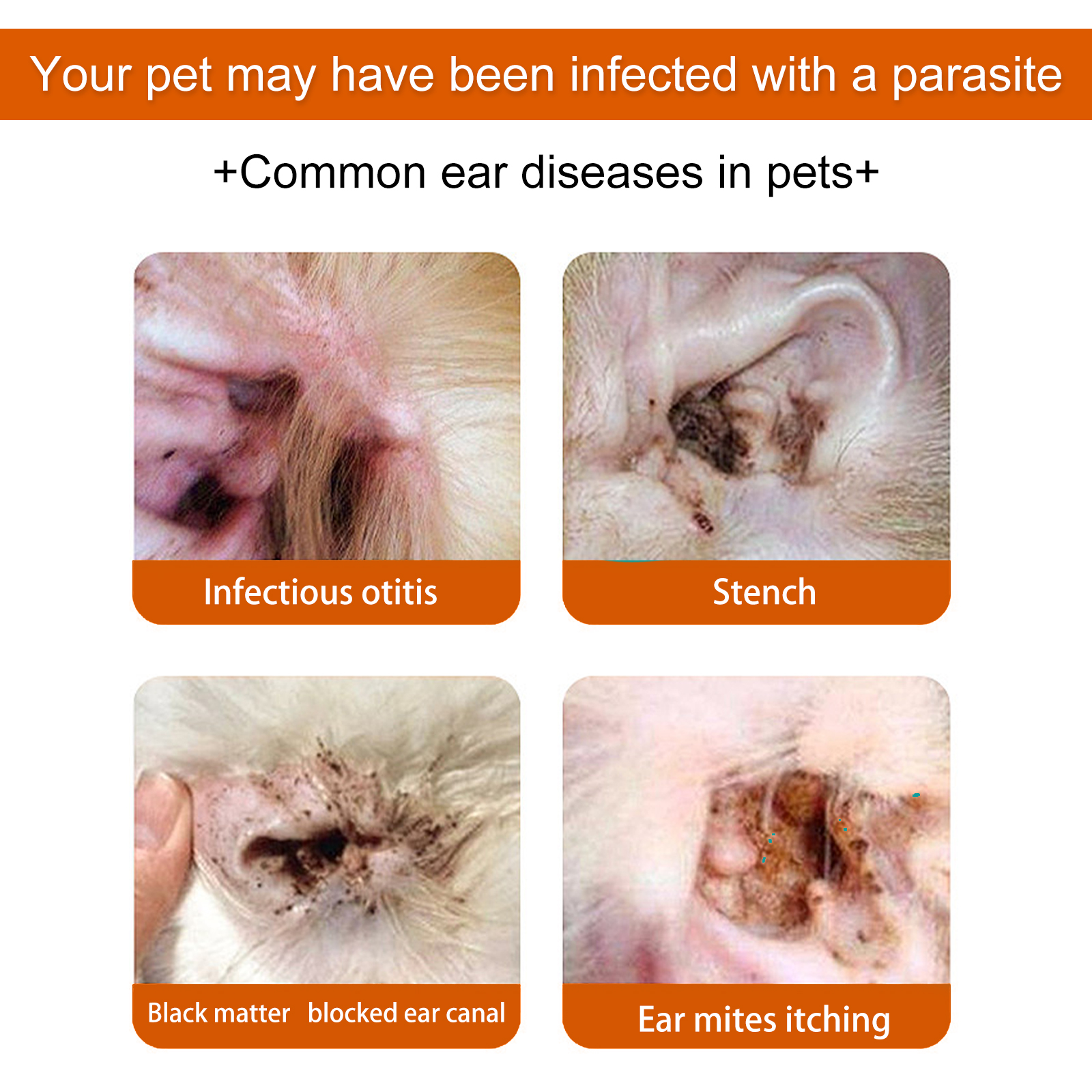 Yegbong Pet Ear Wipes, Pet Ear Cleaning Deodorizing Removing Mite And Earwax Cleaning Wipes — image 4