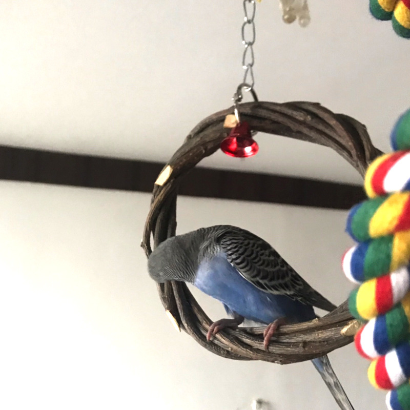 Marco de Pie para Aves - Jaulón de Corte con Rueda de Bambú — imagen 8
