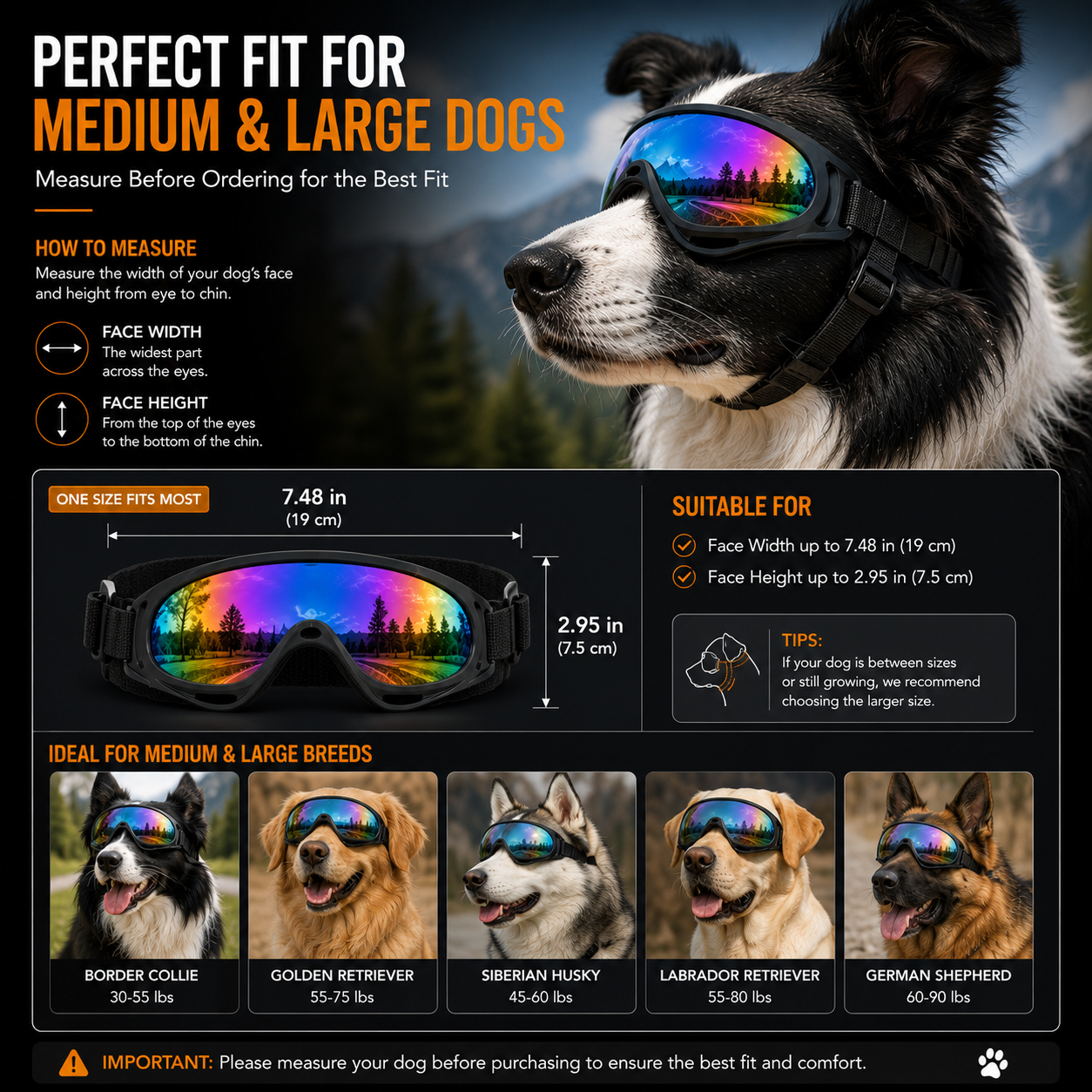 Gafas para Perros de Mediana y Gran Tamaño — imagen 8