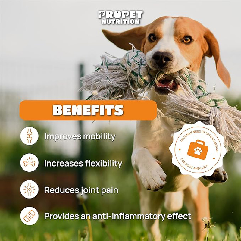 Suplementos Articulares para Perros y Gatos con Glucósamina, Quitina, 10 Vitaminas, Ácido Hialurónico y MSM — imagen 2