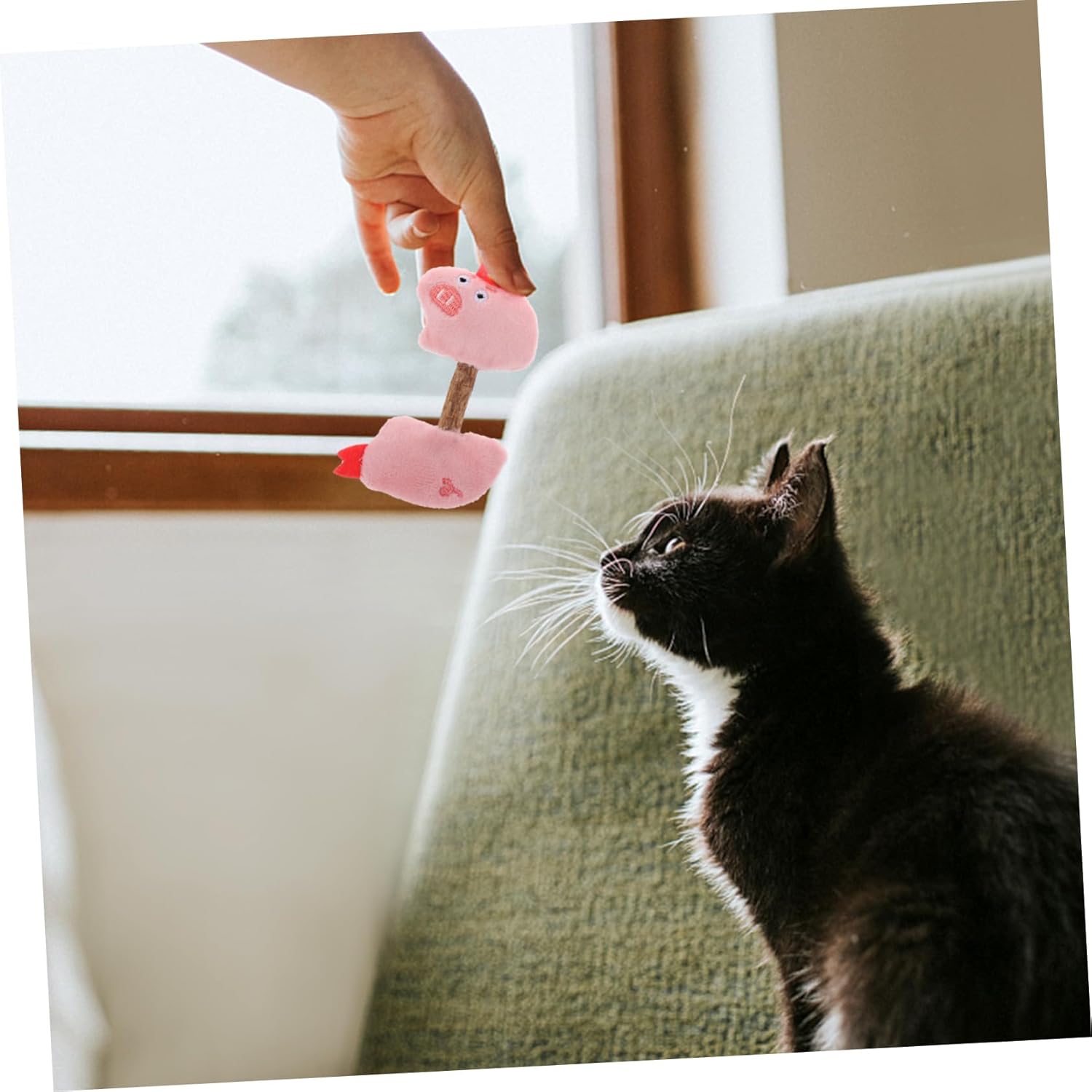 Cat Toy Kitten Toys Teeth Cleaning Toys Silvervine Sticks Cat Silvervine Stick Chew Sticks For Cats Cat Interaction Toys Kitten Plaything Cat Teaser Polygonum Wood The Cat — image 4
