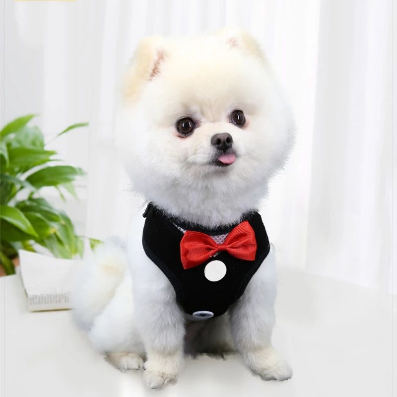 Vestido de Cuerda para Perros Tipo Teddy con Correa y Cinturón de Pecho para Canes de Tamaño Pequeño a Mediano — imagen 2