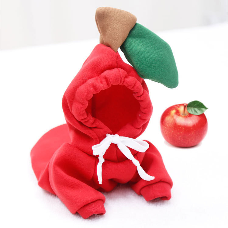 Sudadera de fruta para perros pequeños y medianos, perros y gatos, otoño e invierno, sudadera de felpa, suministros de ropa para mascotas, Teddy Pitcher — imagen 7