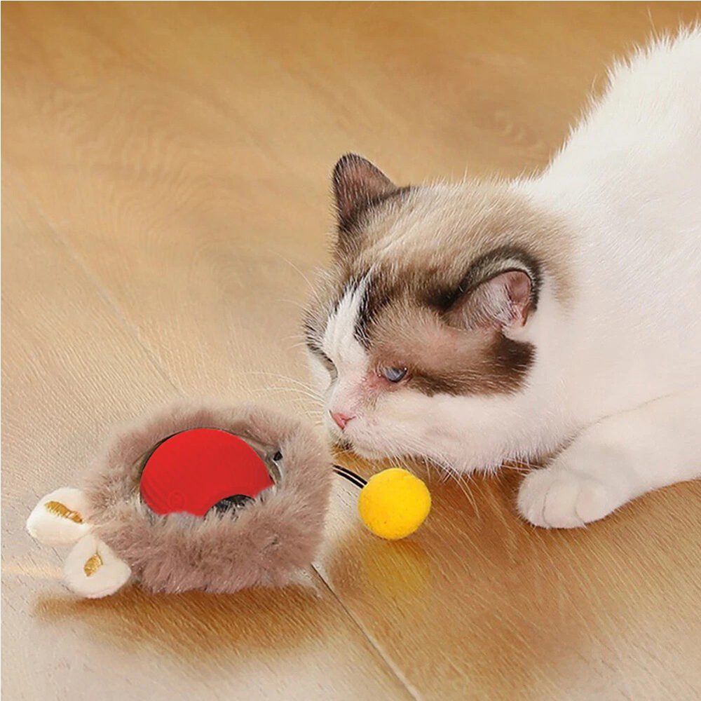 Pelota Interactiva Rodante para Gatos — imagen 14