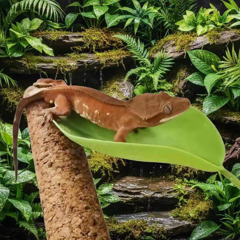 1/3 Pcs Terrarium Decor with Suction Cup; Simulated Leaves for Gecko and Frog Habitats — image 2