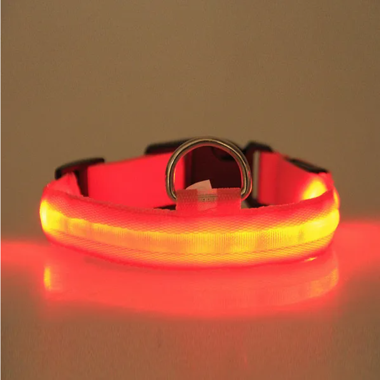 Collar de Seguridad LED para Mascotas con Halo — imagen 4