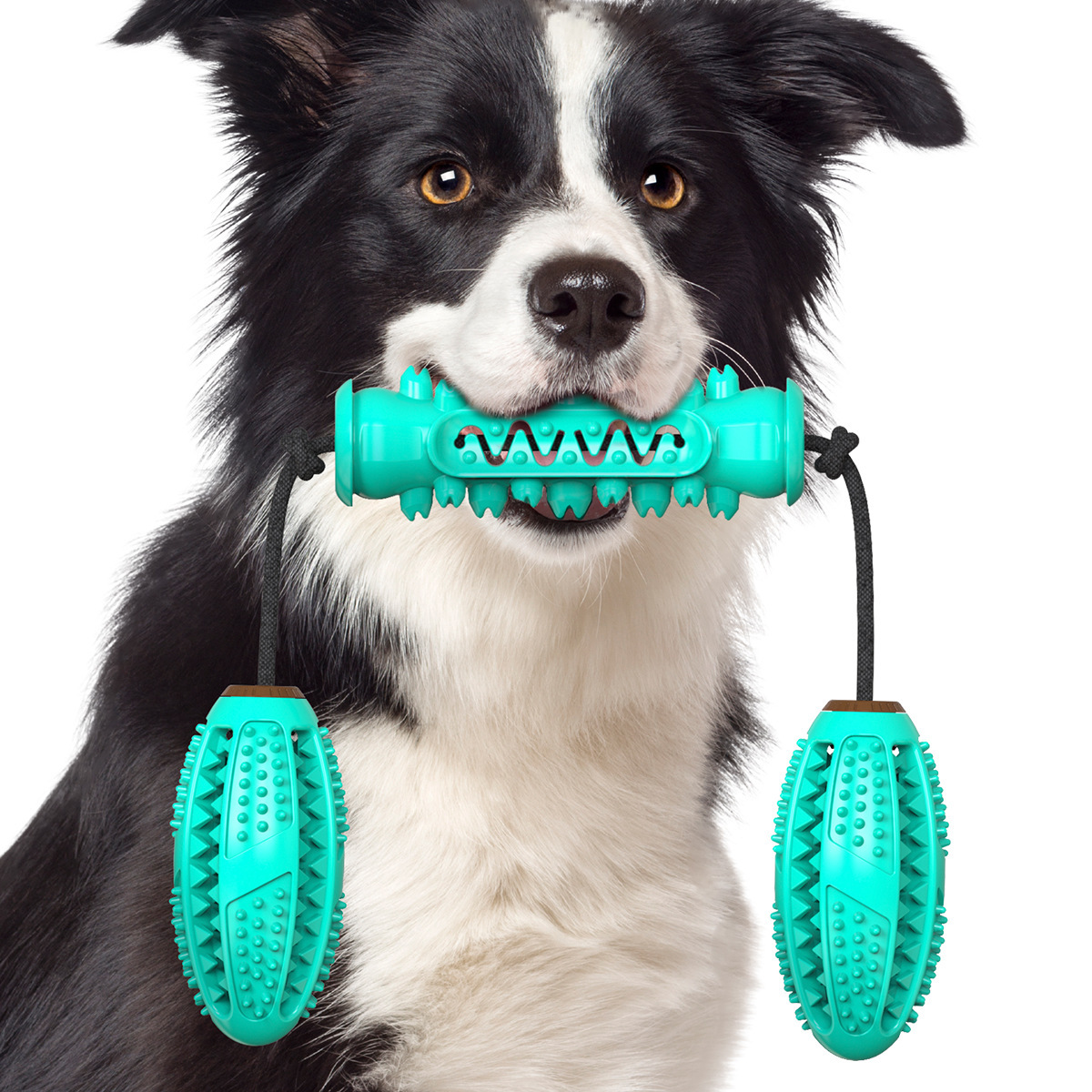 Dog Toy Molar Stick Bite Resistant Toothbrush Dog Toy With Rope 3 Pet Products — image 2