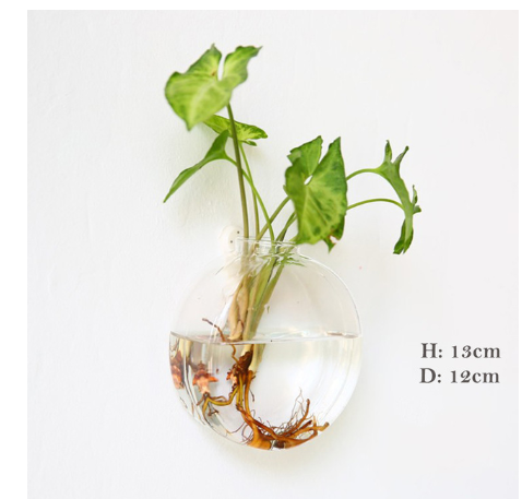 Vaso de Vidrio para Terrario Decorativo en Línea - Jardín Acuático para Hogar — imagen 39