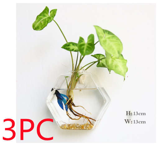 Vaso de Vidrio para Terrario Decorativo en Línea - Jardín Acuático para Hogar — imagen 53
