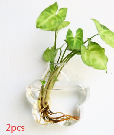 Vaso de Vidrio para Terrario Decorativo en Línea - Jardín Acuático para Hogar — imagen 69