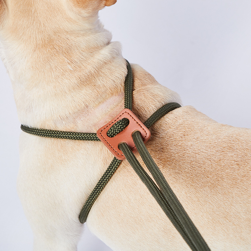 Leash Chest-back Dog Leash Pet Products — image 1
