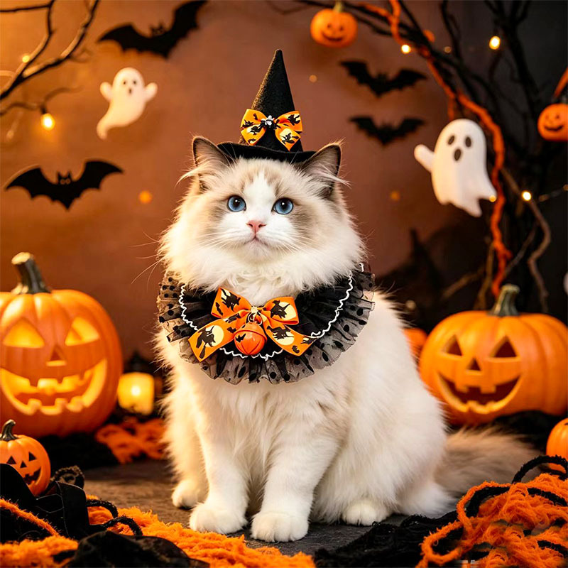 New Cat Bandana Hat Set Halloween Pet Scarf Neckwear Dog Bib Collar — image 1