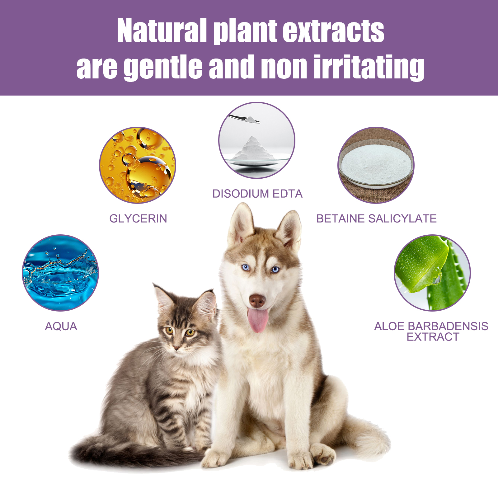 Limpieza para Orejas de Mascotas 118ml con Glicerina y EDTA Disódico, Baño Antipruriginoso Antibacteriano Sin Alcohol para Perros y Gatos — imagen 4