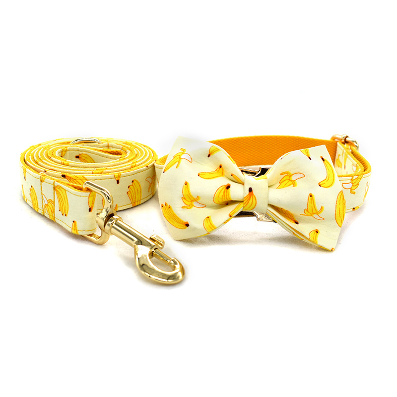 Collar de Trazo Amarillo para Perros con Cuerda de 1.5m y Broche de Oro Personalizable — imagen 1