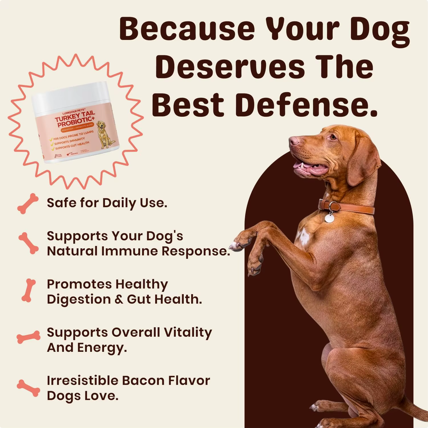 Turkey tail mushroom dog food sprinkle, bacon flavored pet food supplement, easy to sprinkle into daily feeding, 30 servings — image 4