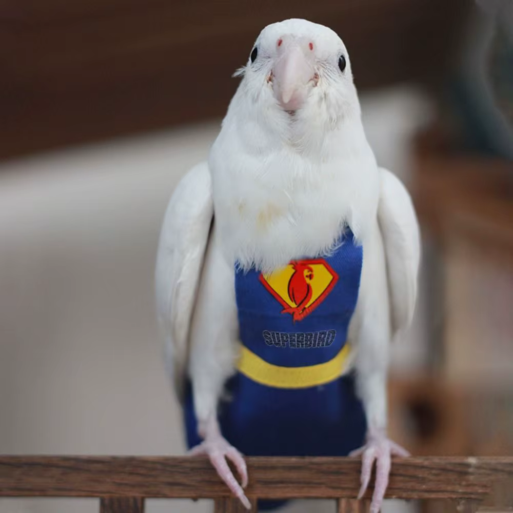 For Parakeet Cockatiel Pigeons Cloth Pet Accessories Birds Flight Suit Parrot Diaper Parrot Urine Pants Birds Clothes — image 1