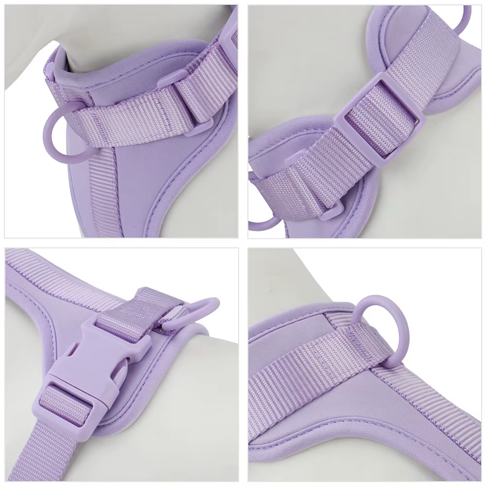Dog Harness Outdoor Walk Training Fashion Pet Chest Strap Pet Harenss for Small Medium Dog — image 5