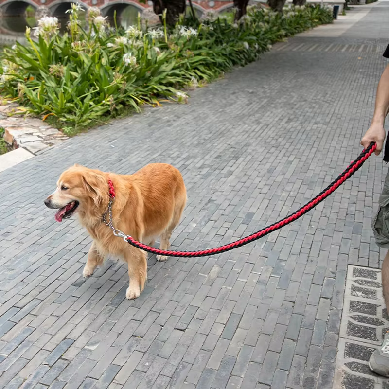 Lazo para Perros Grandes de Alta Resistencia - Cuerda de Nylon Tejida a Mano para Caminar, Cazar o Acampar — imagen 6