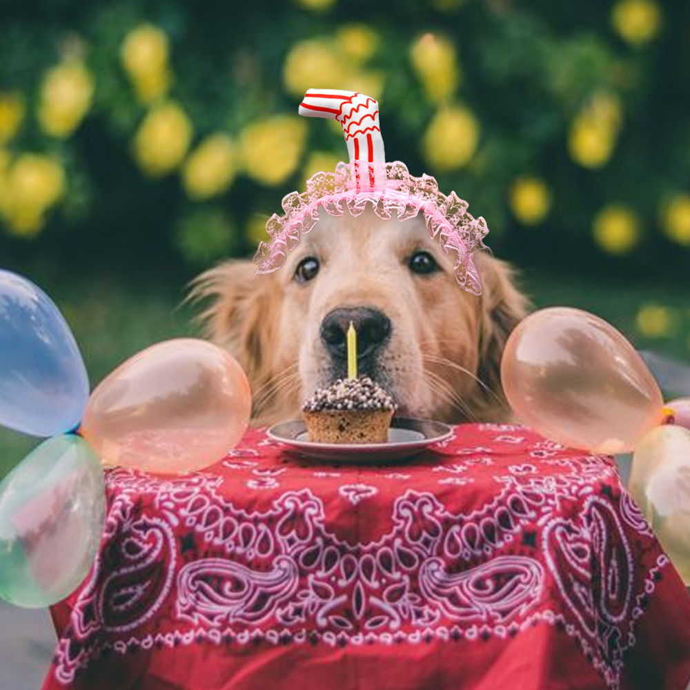 Sombrero de Paja con Encaje para Perros - Diseño Cálido y Adorable para Fiestas de Cumpleaños — imagen 2