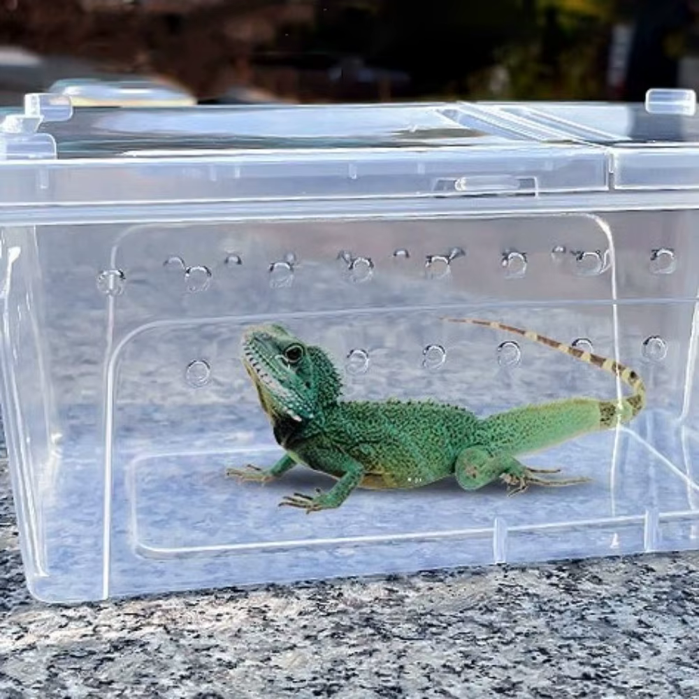 Caja de Cría Reptiliana Transparente Ventilada Apilable Transporte Seguro para Tortugas Contenedor con Visión Claro Prueba de Escape — imagen 2
