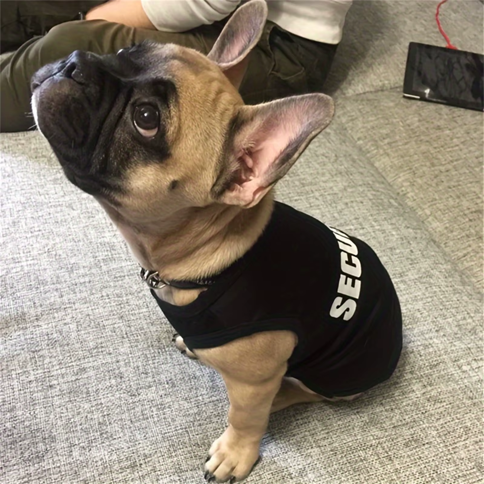 Security Clothing for Dogs Summer Pet Clothes Vest for Small Dogs Chihuahua Yorkshire Puppy Cats Low Price Pets T-shirt Costume — imagen 6
