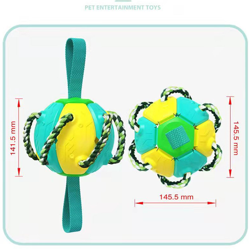 Pet Supplies Throwing Frisbee Outdoor Training Interactive Frisbee Football Dog Toy — image 5
