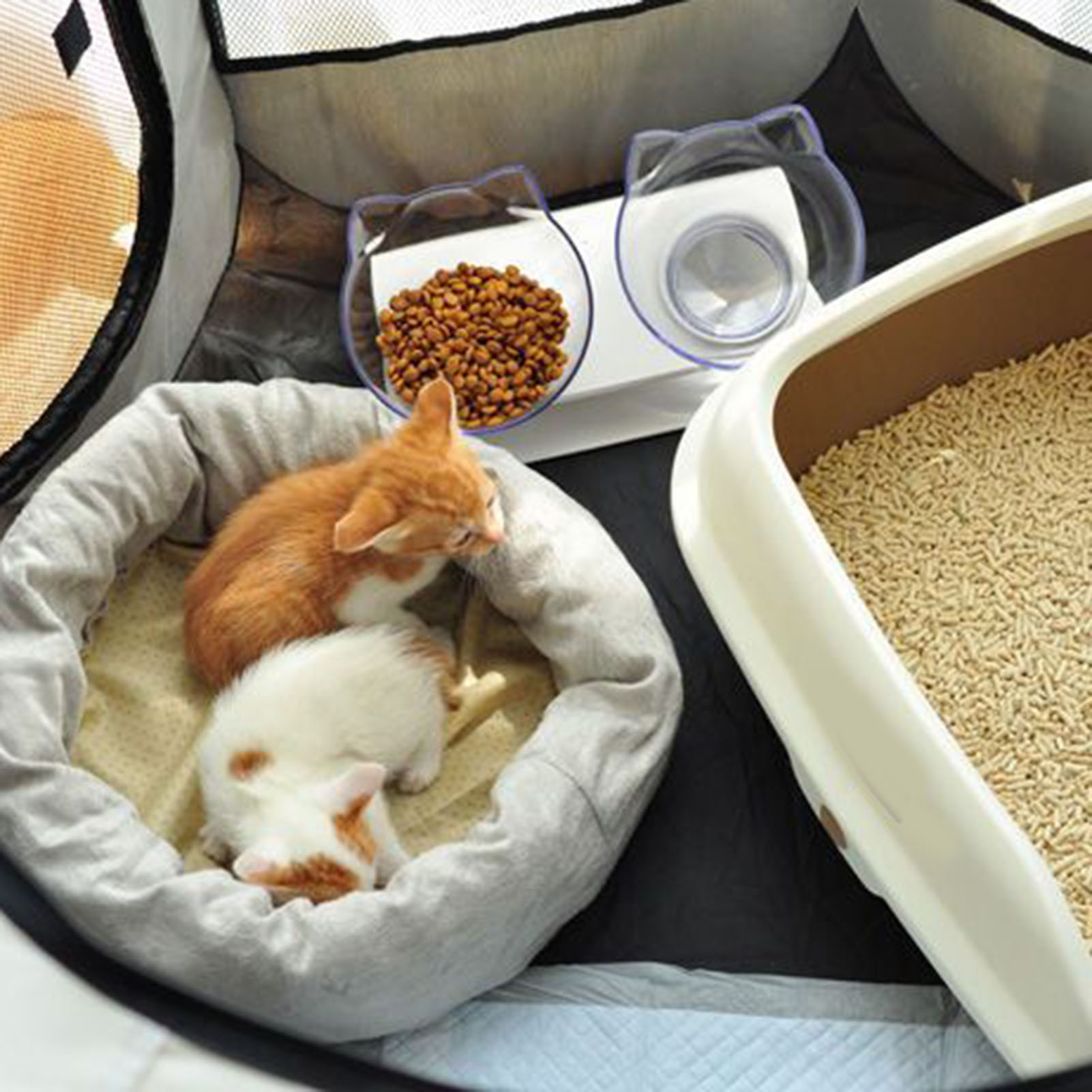 Caja Portátil para Perros y Gatos Respirable Espaciosa Fácil de Limpiar Enclavada Plegable Suave Refugio para Mediano 91x48cm/35.8x18.9in — imagen 4