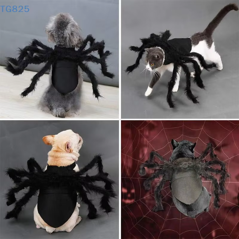 Disfraz de Araña para Mascotas: Transformación de Halloween con Ropa de Cosplay — imagen 6