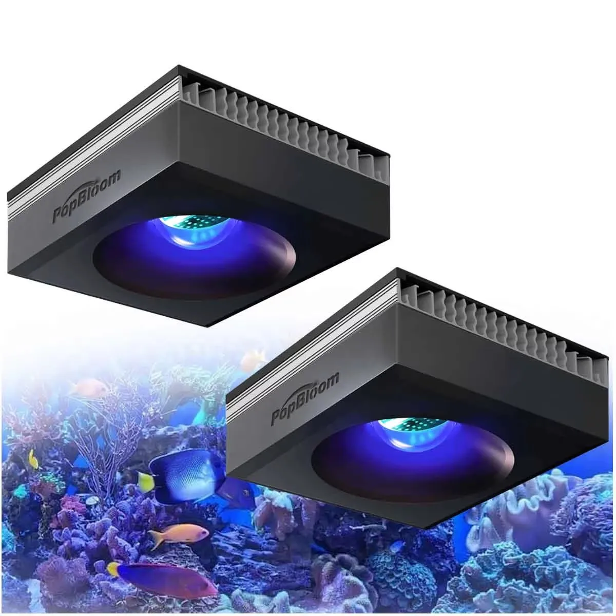 PopBloom RL90 WiFi Luz de Acuario Marino con Wi-Fi 100W, Led Completo para Acuarios de Arrecife y Corales Profesionales para Tanques de Peces LPS/SPS — imagen 1