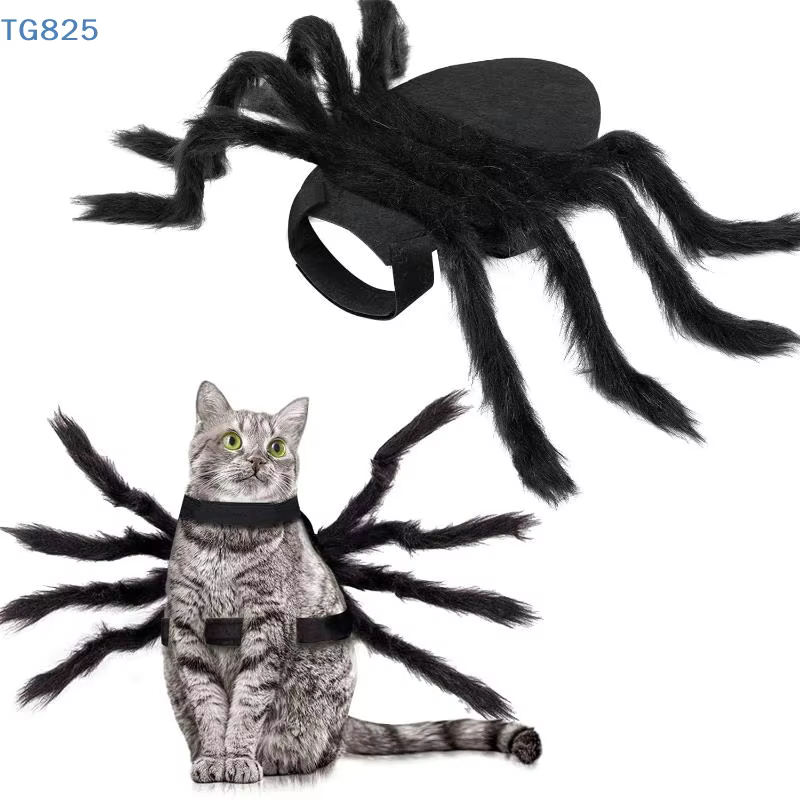 Disfraz de Araña para Mascotas: Transformación de Halloween con Ropa de Cosplay — imagen 2
