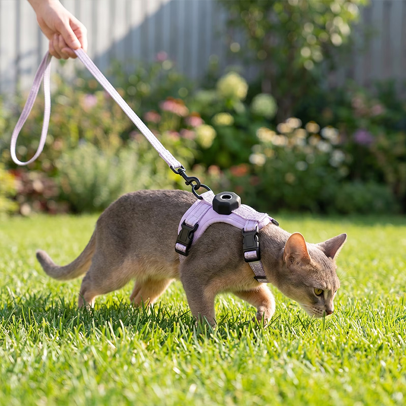 Reflective Escape-Proof Cat Harness – Adjustable Vest with Built-in AirTag Holder for Outdoor Walking — image 6