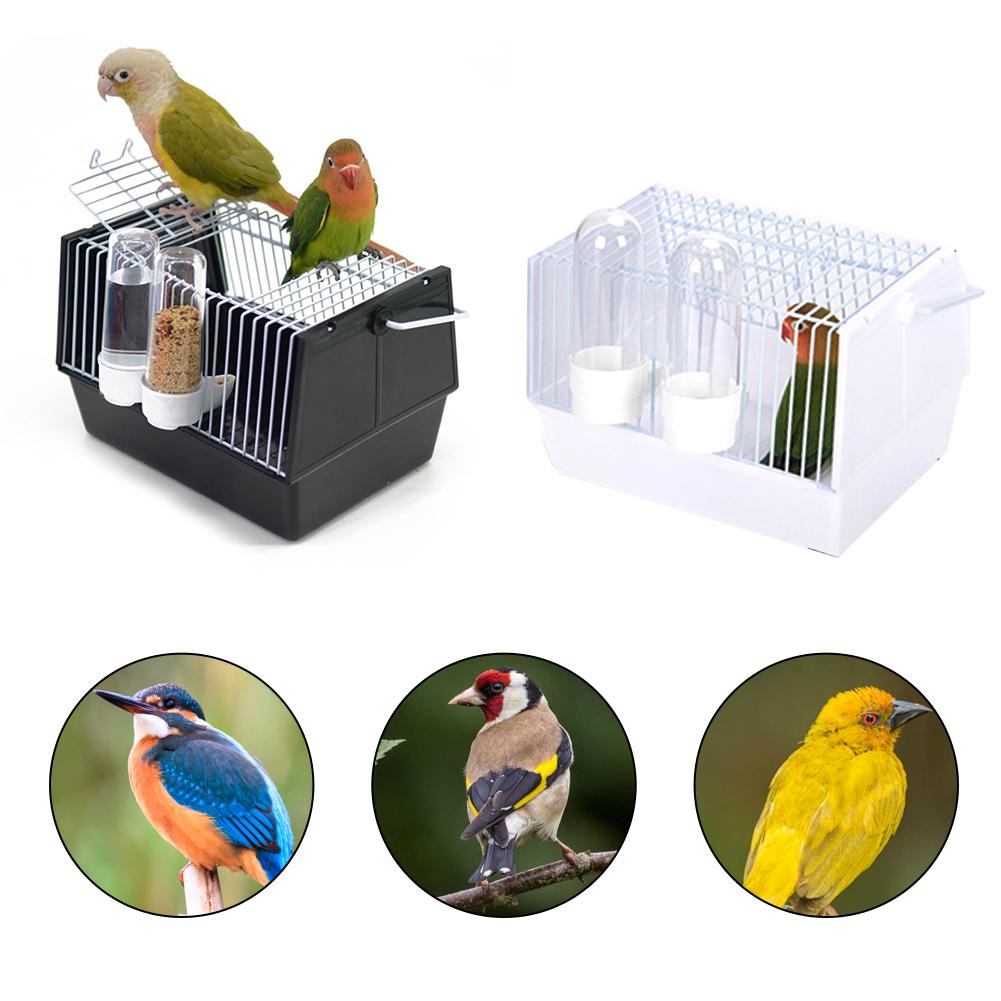 Out of the bird cage — image 4