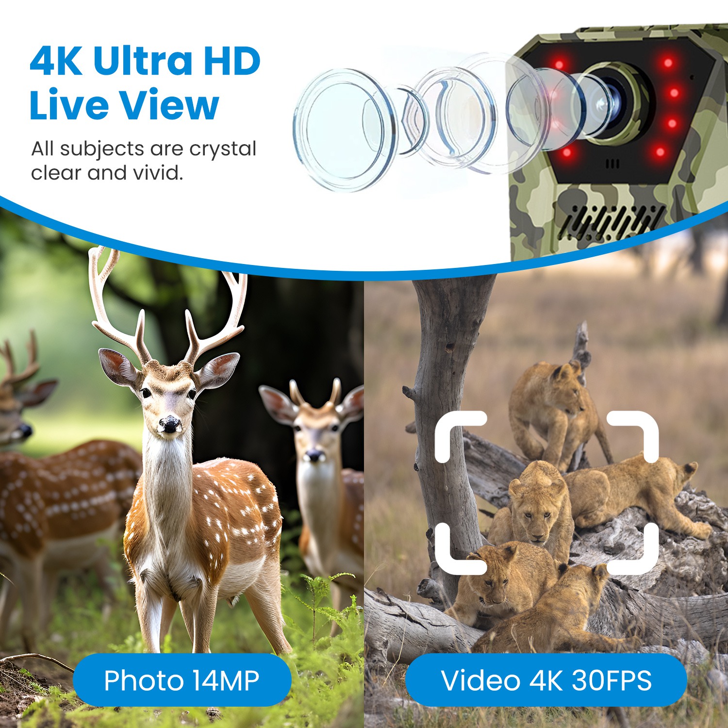 4G 4K 30FPS Solar Trail Camera Outdoor Wildlife Camera Motion Activated IP66 Waterproof With 140 Degree Viewing Angle No Glow Night Vision SIM Card APP Control No WiFi Needed — image 9