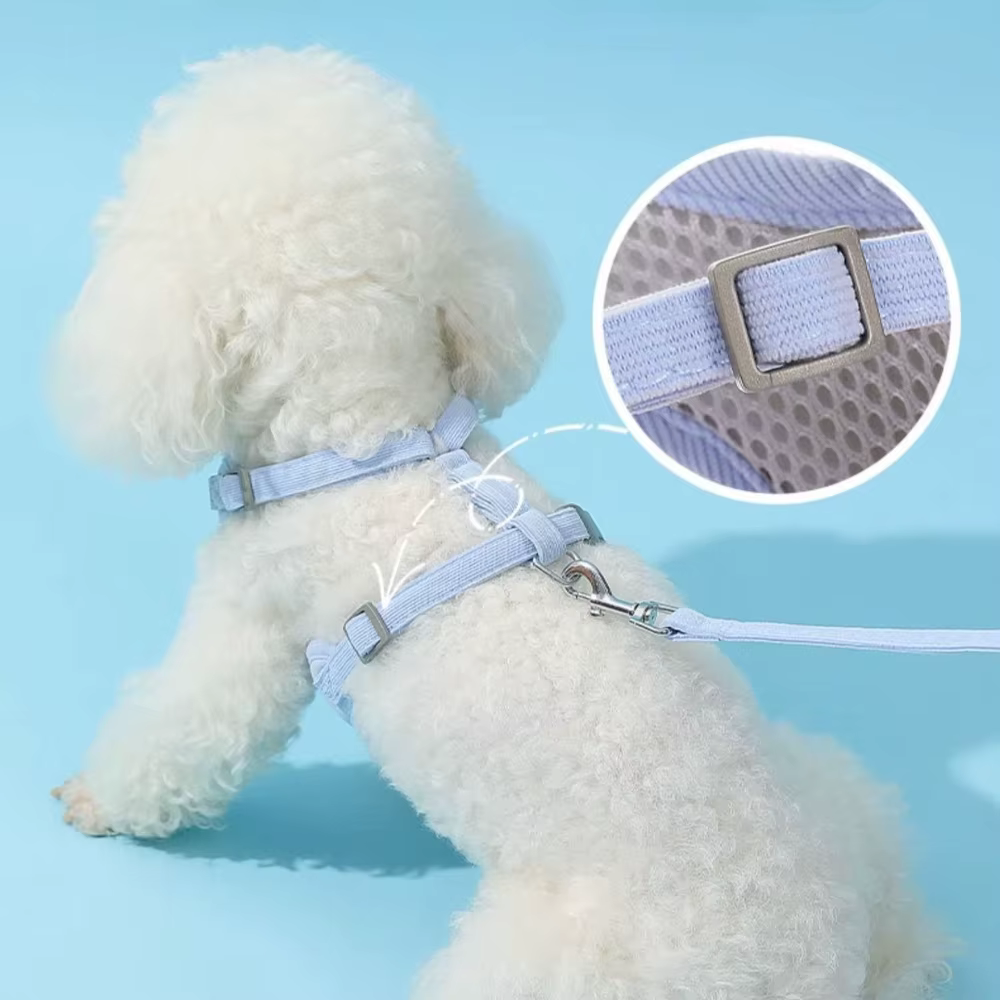 Conjunto de Arneso para Perros con Lazo de 1,5 m - Arneso Ajustable para Cachorros, Gatos, Bull Terrier y Pequeños Caninos para Paseos al Aire Libre — imagen 4