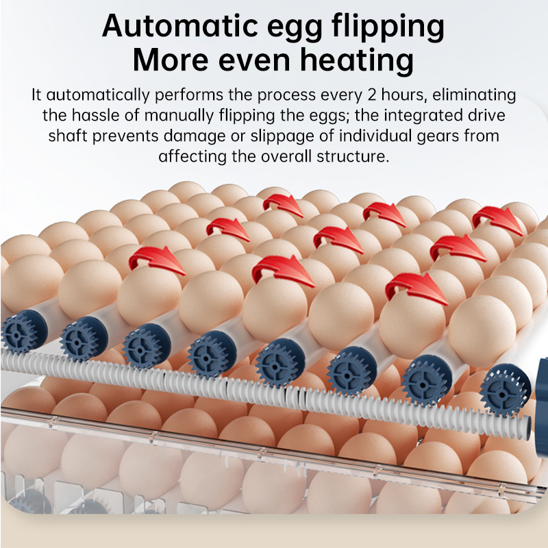 Automatic Egg Incubator 12/15/24 Eggs with Auto Turner & Temp Control, Poultry Hatcher for Chicken Duck Quail — image 7