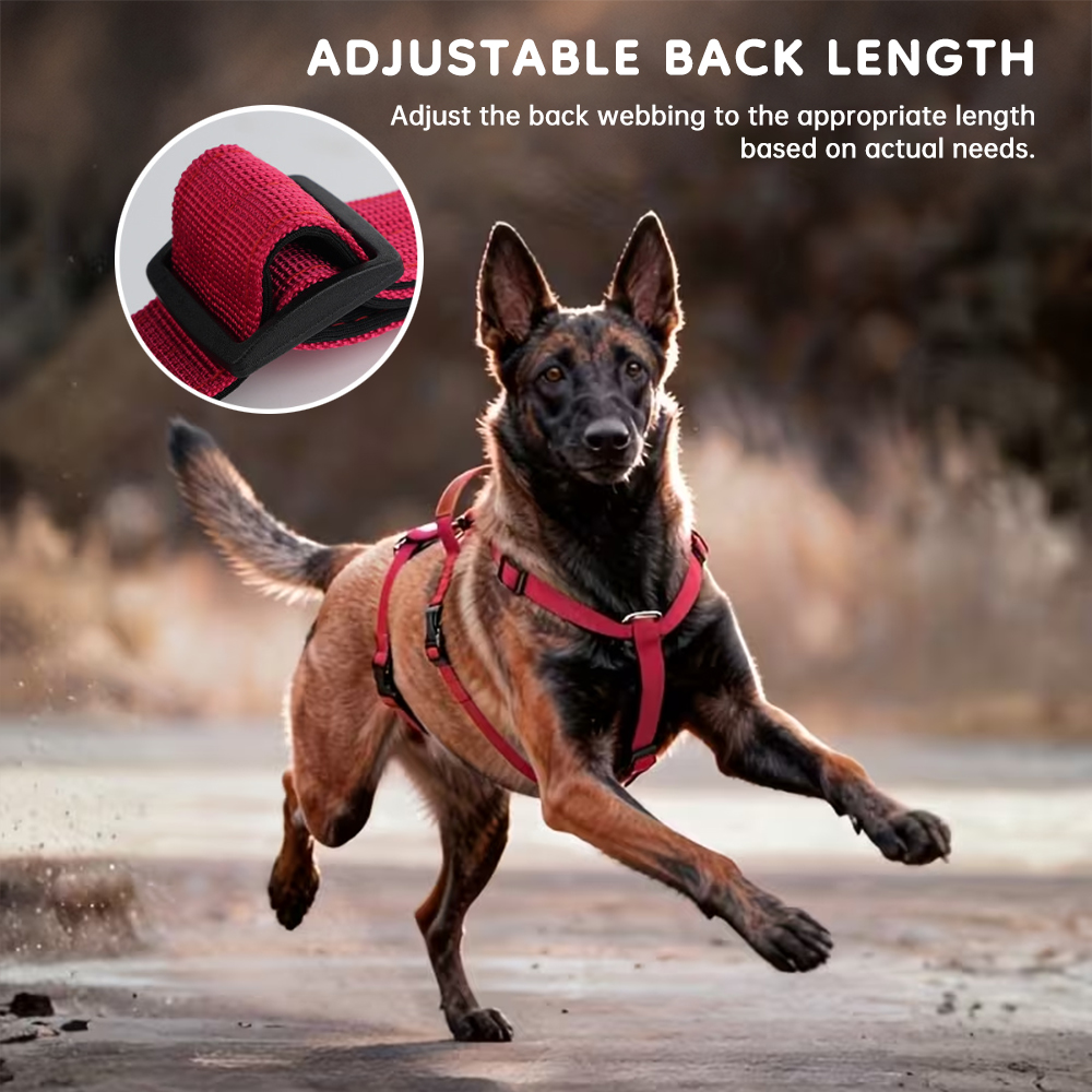 Tactical No-Pull Dog Harness, Bulletproof Vest Style for Large Dogs — image 13