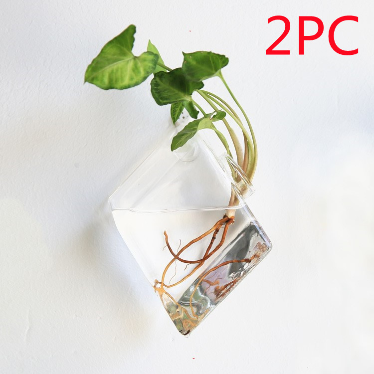 Vaso de Vidrio para Terrario Decorativo en Línea - Jardín Acuático para Hogar — imagen 20