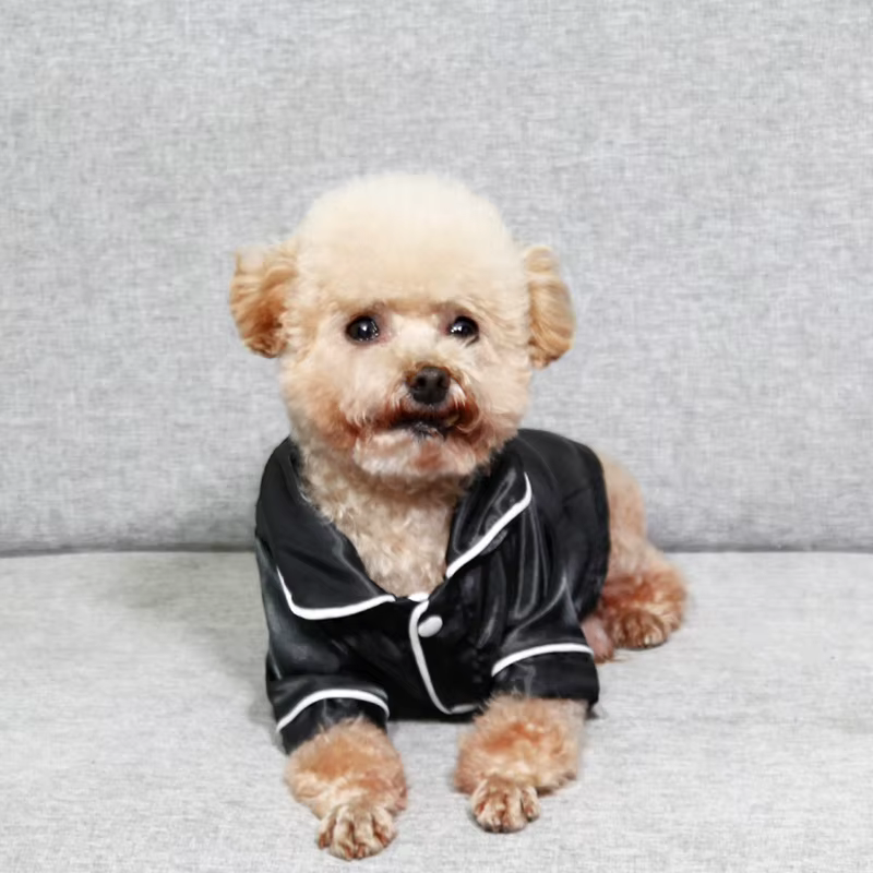 Pet Pajamas Dog Costume Teddy Retriever Clothes Cat Apparel Dogs Shirts Small Medium Dog Clothes Spring Summer Puppy Clothing — image 3