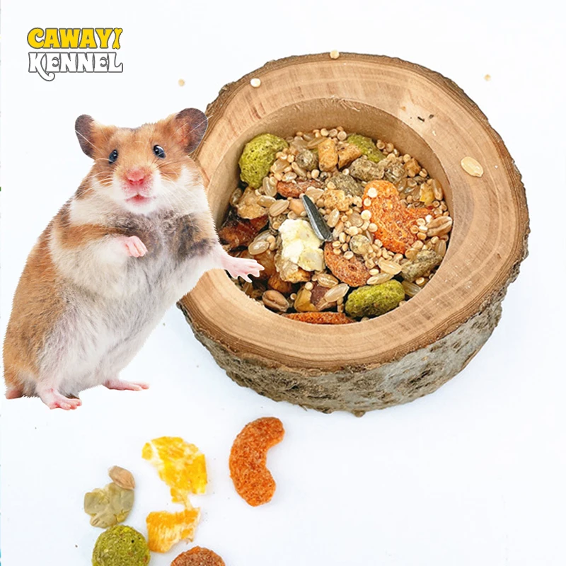 Random Shape Pet Hamster Fruit Wood Food Bowl Hamster Golden Bear Squirrel Food Bowl Log Gnawing Toy for Small Animals Food Bowl — image 1