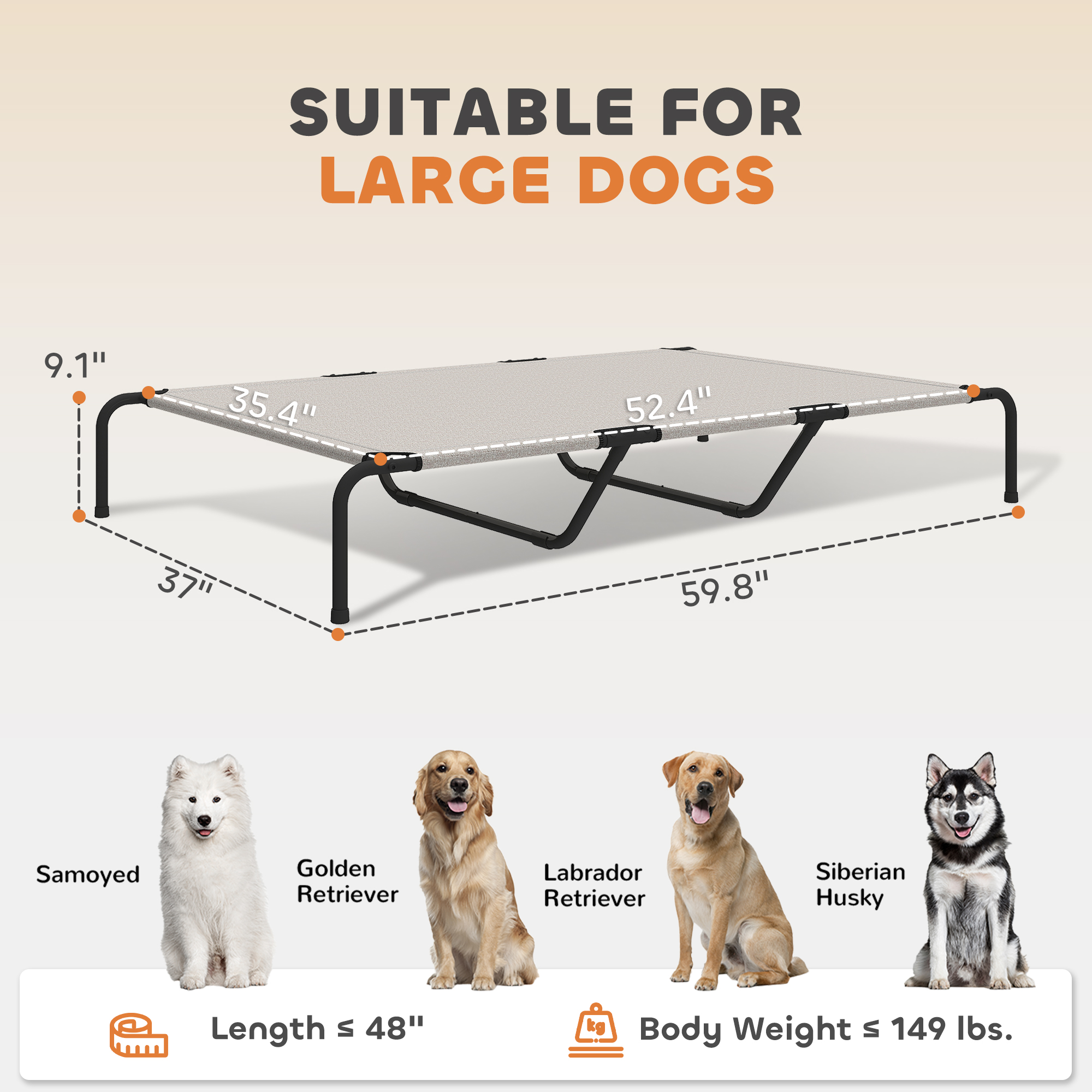 Cama Elevada para Perros Grandes Beige 60"L — imagen 4