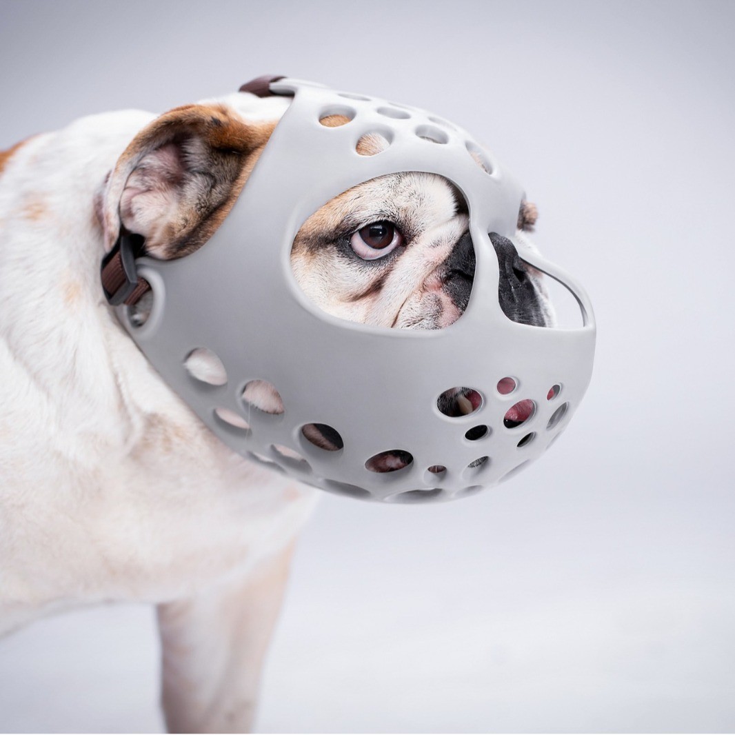 Mascota Humilde: Mordaza de Goma Suave para Perros con Boca Corta - Para Bull Terrier, Bulldog Inglés, Bulldog Francés, Pug - Prevención de Morder y Comer Al Azar — imagen 2