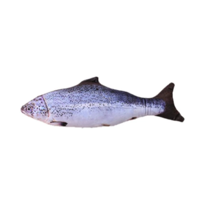 Without Cat Nip Version - Electric Jumping Fish Simulation Electric Fish Toy — image 79