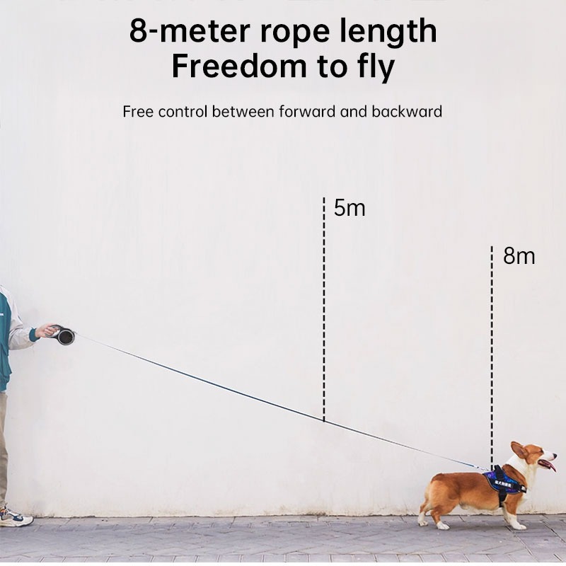 Retractable Dog Leash (5m/8m, 50kg capacity) – Adjustable, durable, for small/big dogs (walking, hiking) — image 14