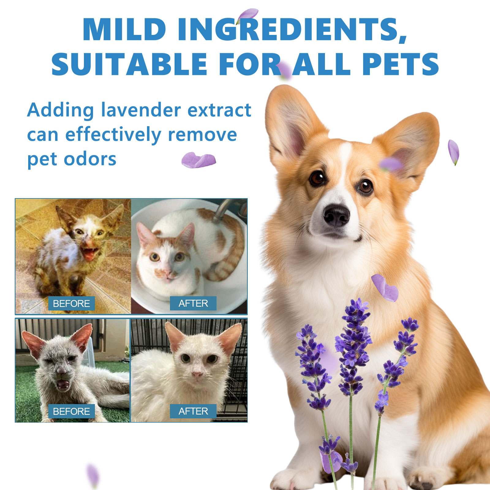 Pet Leave-In Serum Set For Cats And Dogs To Clean Hair Fluffy, Soft And Fragrance Care Essence — imagen 6