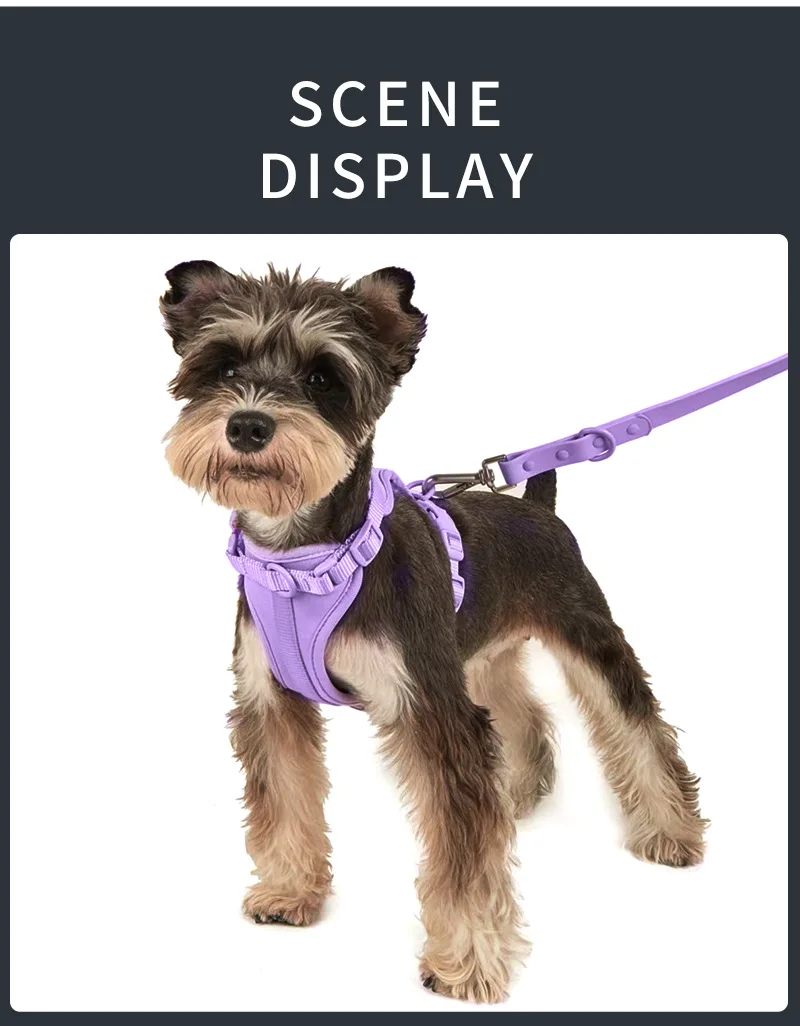 Luxury Waterproof PVC Neoprene Pet Poop Bag Dispenser Set, Dog Harness, Leash Collar Set for Dog — image 6