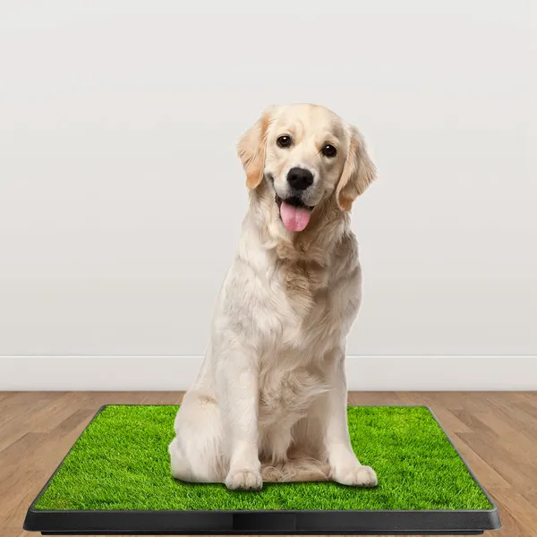 Piso de Limpieza para Perros, Manta de Entrenamiento para Cachorros, Pasto Artificial con Recipiente Retirable para Limpiar con Fácilidad, 7.62m x 6.1m — imagen 3