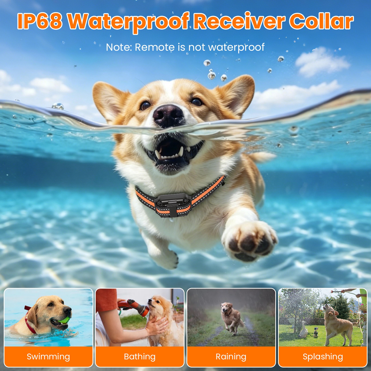 Collar de Adiestramiento para Perros con Control Remoto — imagen 14