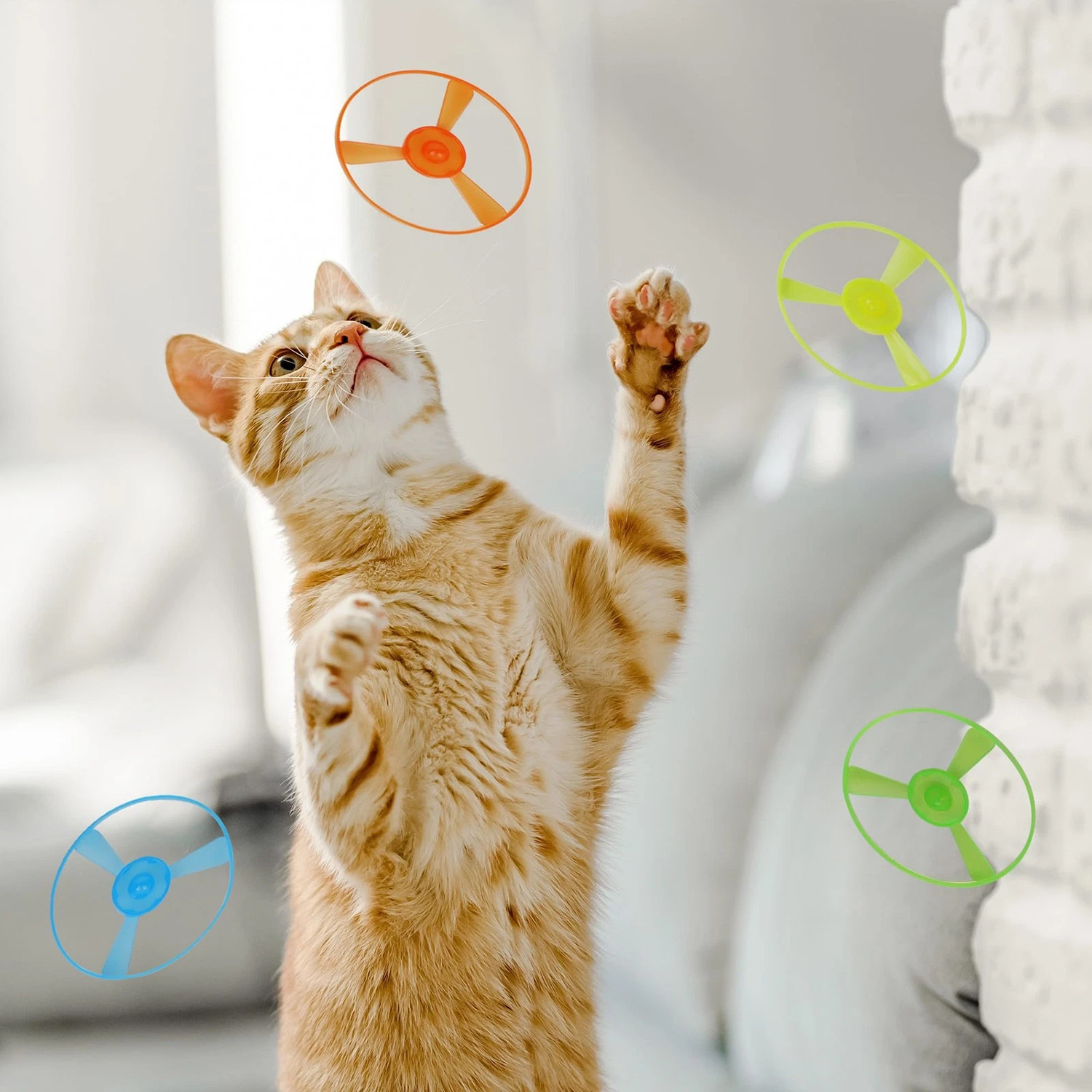 Cat Fetch Toy Flying Disc Launcher Rechargeable Interactive Cat Toys & 10 Discs — image 8