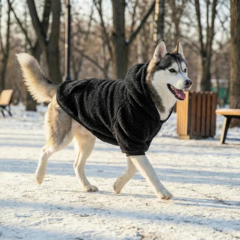 Warm Winter Dog Hoodie for Golden Retriever & Labrador - Fleece-Lined Outdoor Dog Coat for Medium & Large Breeds — image 5