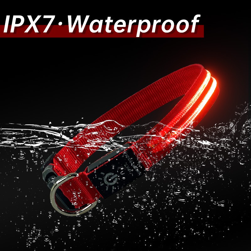 Collar LED Luminoso para Perros Impermeable Caminata Nocturna Cinturón de Luz USB Recargable — imagen 2